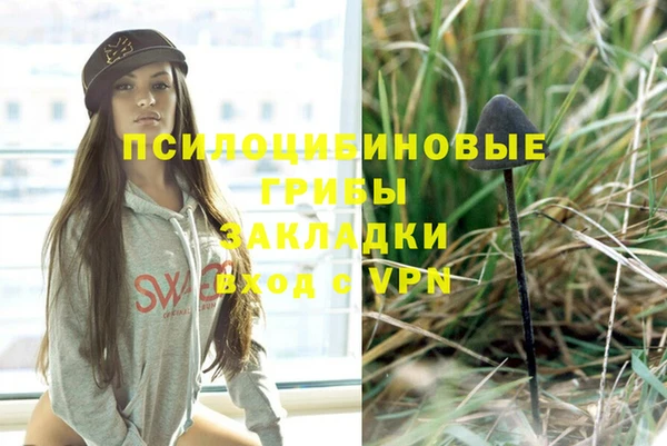 герыч Алзамай