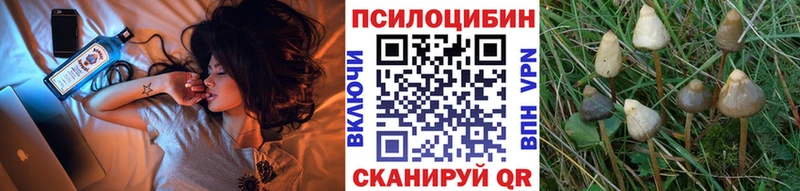 Псилоцибиновые грибы MAGIC MUSHROOMS  Углич 