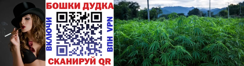 Конопля SATIVA & INDICA  цены   это клад  Углич 